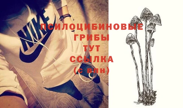 каннабис Дмитров