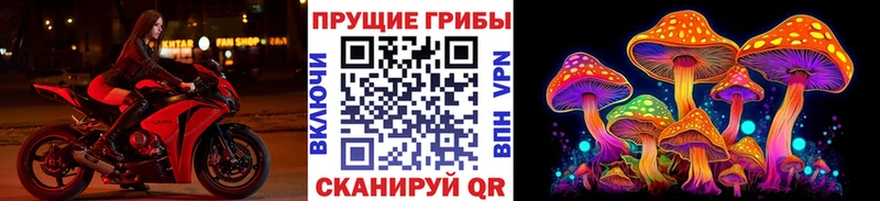 гидра зеркало  Малмыж  Псилоцибиновые грибы Psilocybine cubensis 